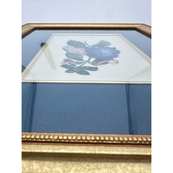 S. Holden Achimenes Longiflora signed Botanical Print 16" x14” glass floral Art - Picture 8 of 16